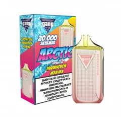 Электронная сигарета GANG ARCTIC 20000 Малиновая жвачка 2%
